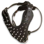 Spiked leather harness